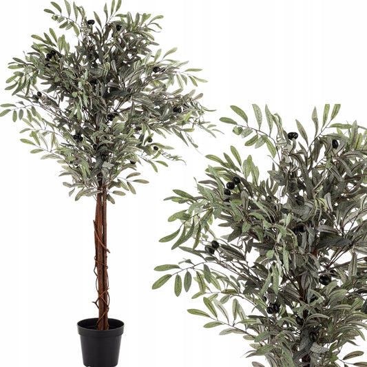 Oliwka dekoracyjne wysokie drzewko oliwne krzew roślina dekoracyjna 125 cm