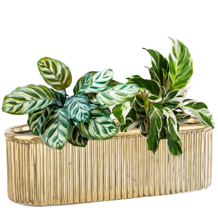 Osłonka 28 cm ceramika odcienie żółtego i złota