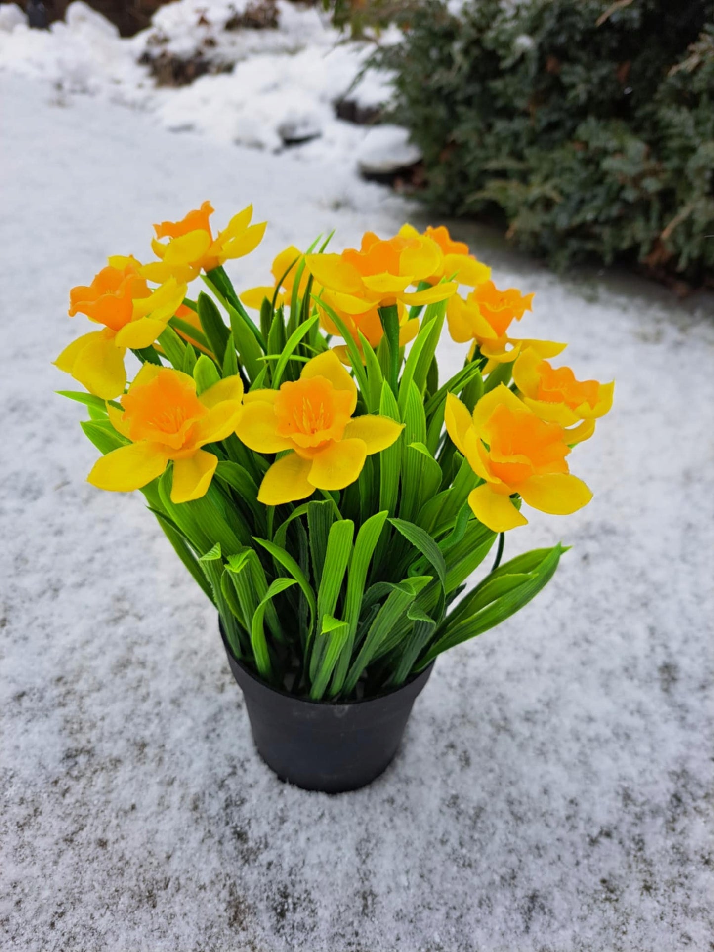 Sztuczne żonkile narcyze w doniczce 23cm żonkil narcyz kwiaty wiosenne