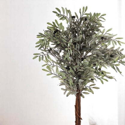 Oliwka dekoracyjne wysokie drzewko oliwne krzew roślina dekoracyjna 125 cm