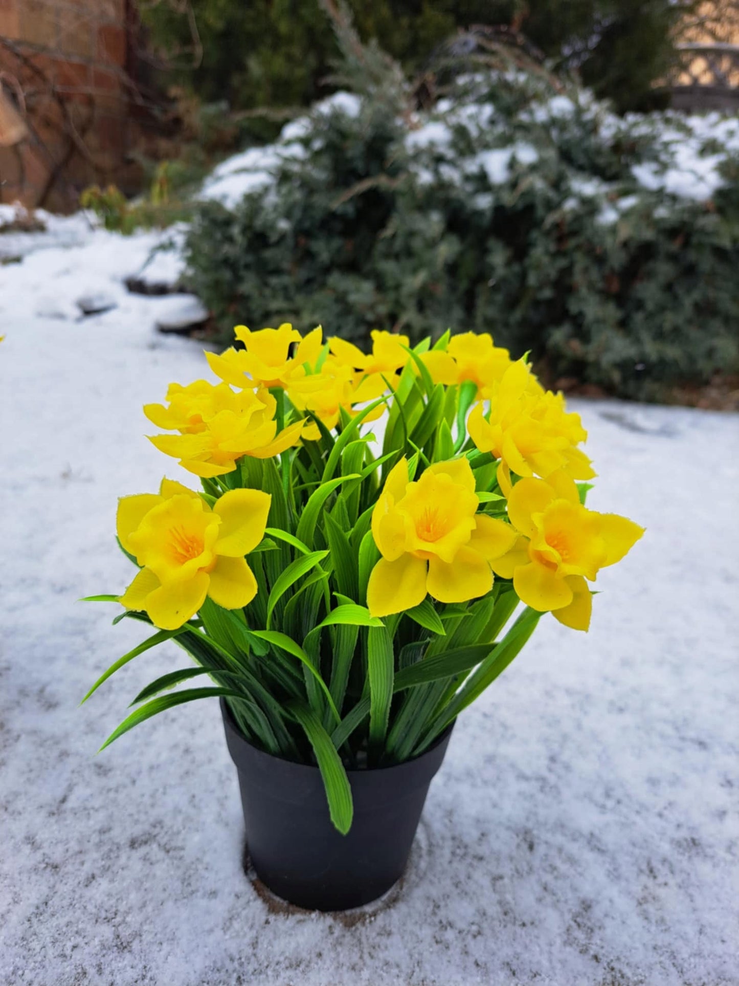 Sztuczne żonkile narcyzy żółte w doniczce 23cm żonkil narcyz kwiaty