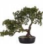Roślina dekoracyjna w doniczce sztuczny kwiat drzewko Bonsai duże