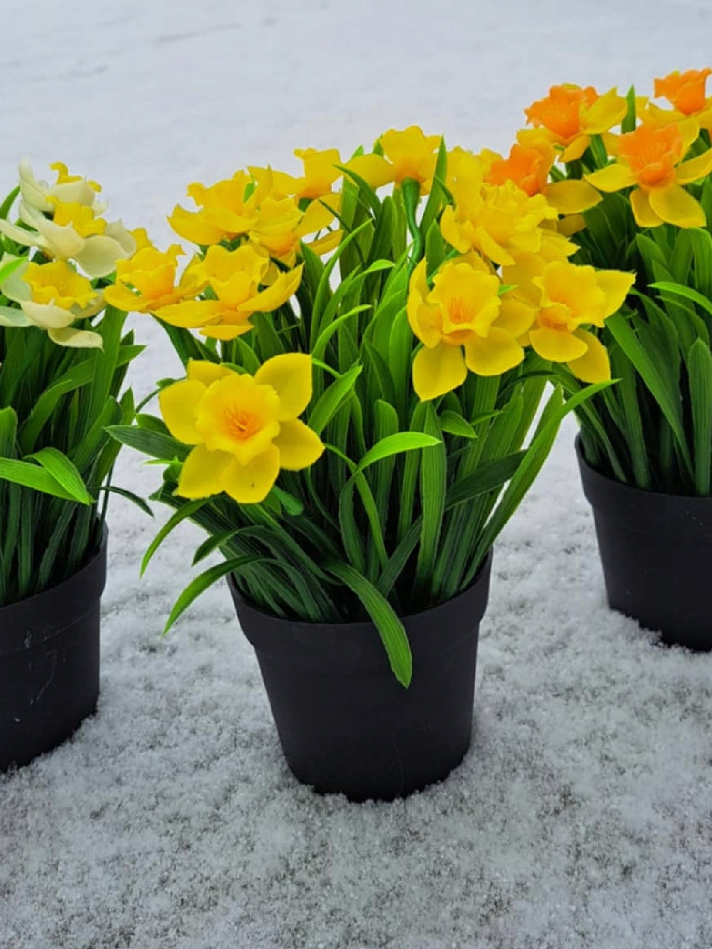 Sztuczne żonkile narcyzy żółte w doniczce 23cm żonkil narcyz kwiaty