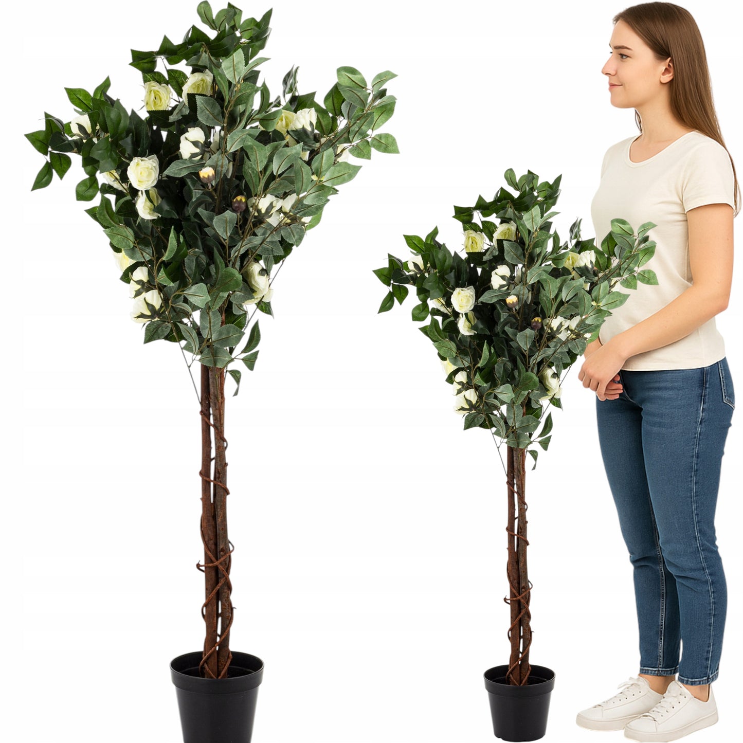 Kamelia wysokie drzewko dekoracyjne roślina ozdobna w doniczce 130 cm palma