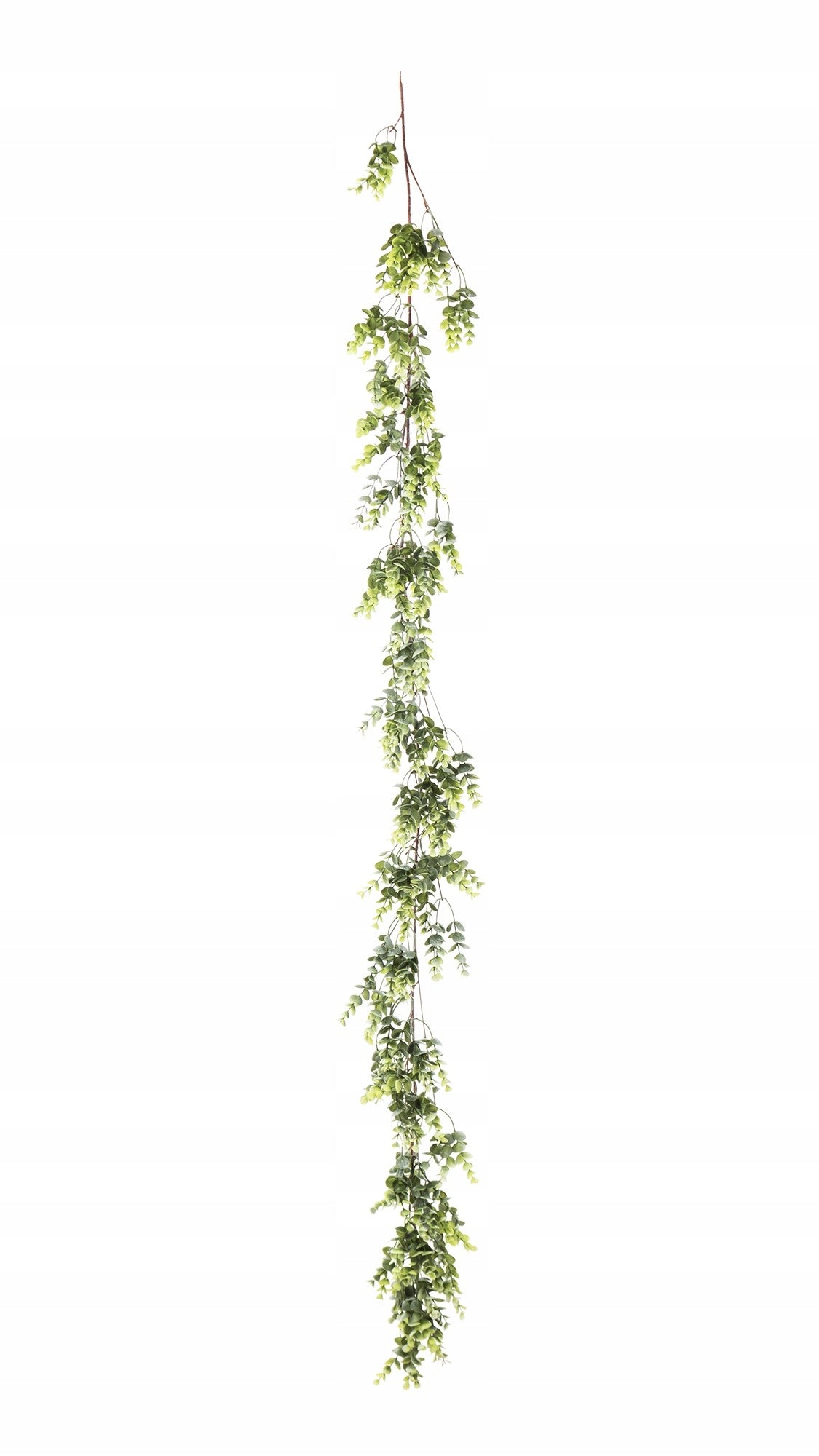 girlanda bukszpan eukaliptus dekoracja 170 cm