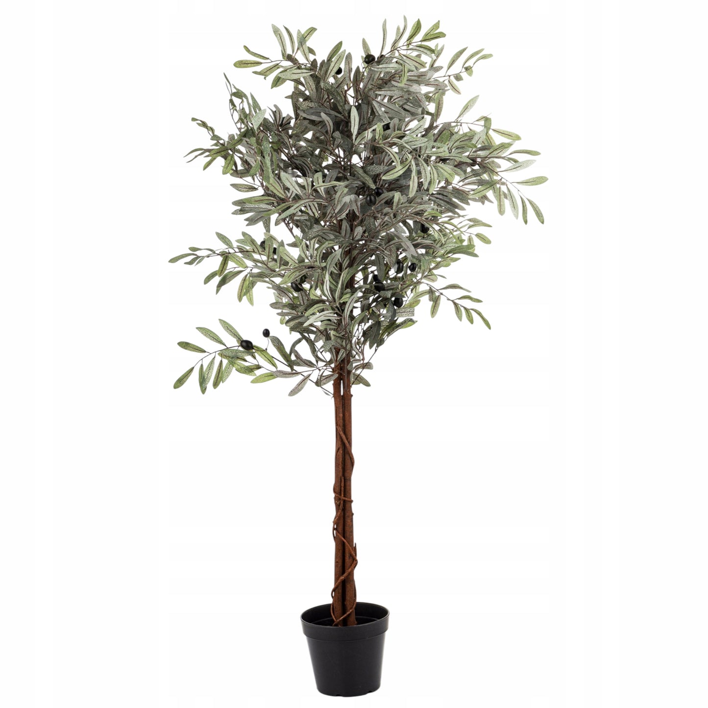 Oliwka dekoracyjne wysokie drzewko oliwne krzew roślina dekoracyjna 125 cm