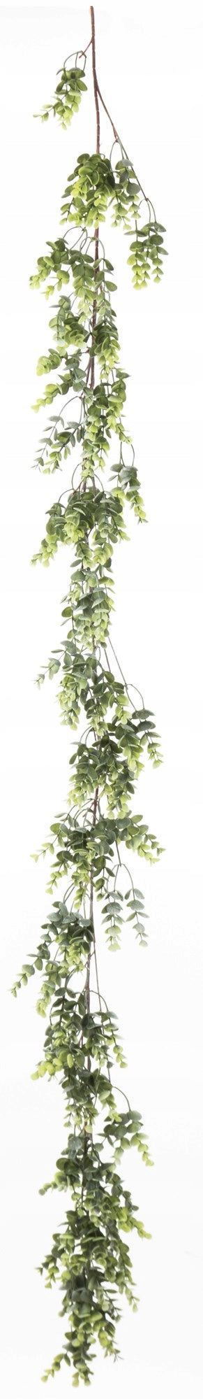 girlanda bukszpan eukaliptus dekoracja 170 cm
