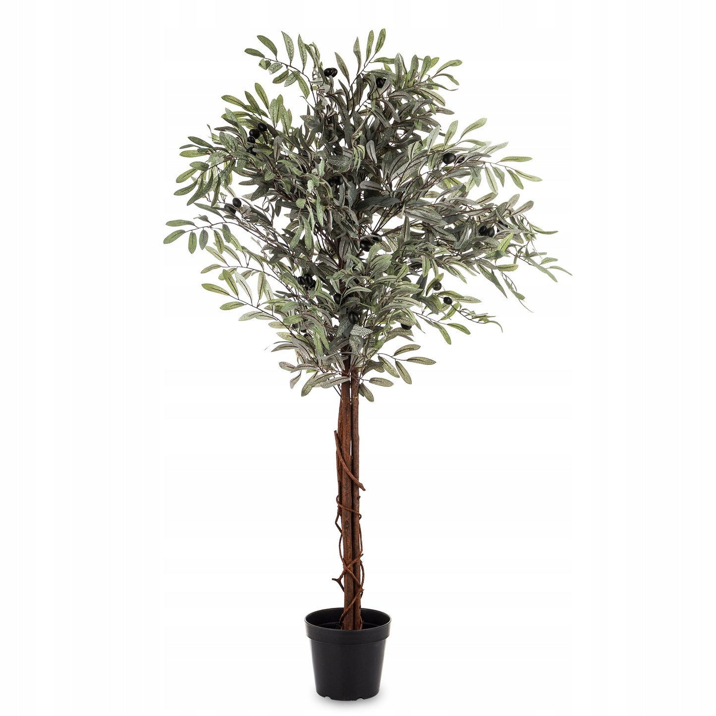 Oliwka dekoracyjne wysokie drzewko oliwne krzew roślina dekoracyjna 125 cm