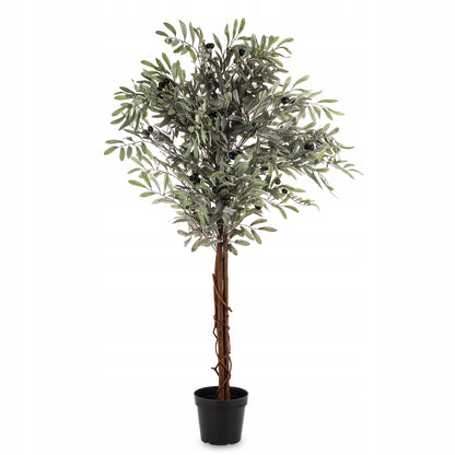 Oliwka dekoracyjne wysokie drzewko oliwne krzew roślina dekoracyjna 125 cm