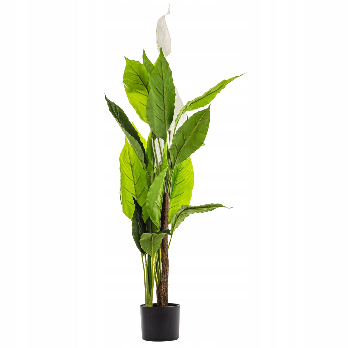 Sztuczny SKRZYDŁOKWIAT Roślina dekoracyjna 120cm w doniczce kwiat