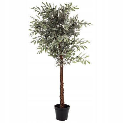 Oliwka dekoracyjne wysokie drzewko oliwne krzew roślina dekoracyjna 125 cm