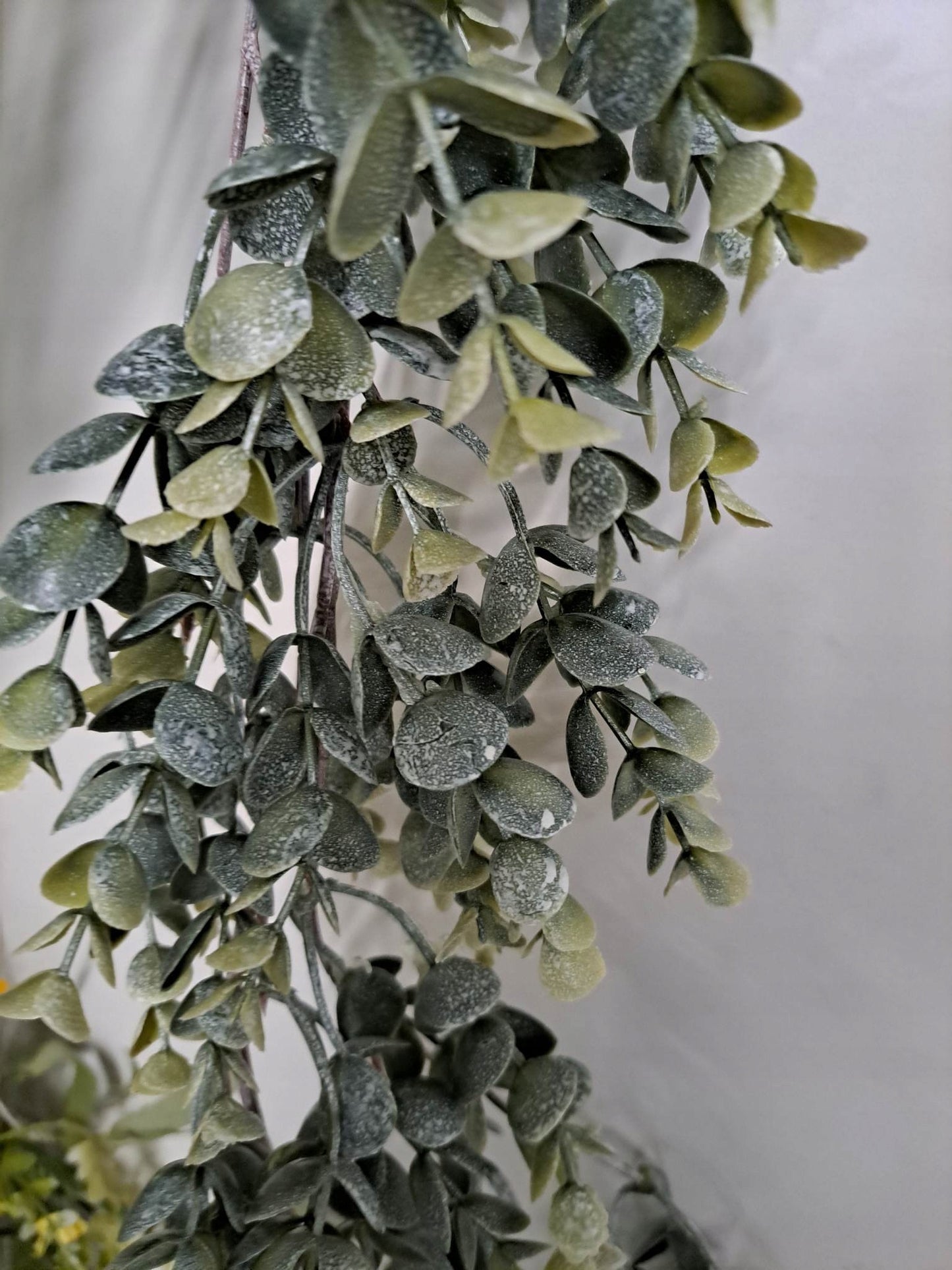 girlanda bukszpan eukaliptus dekoracja 170 cm